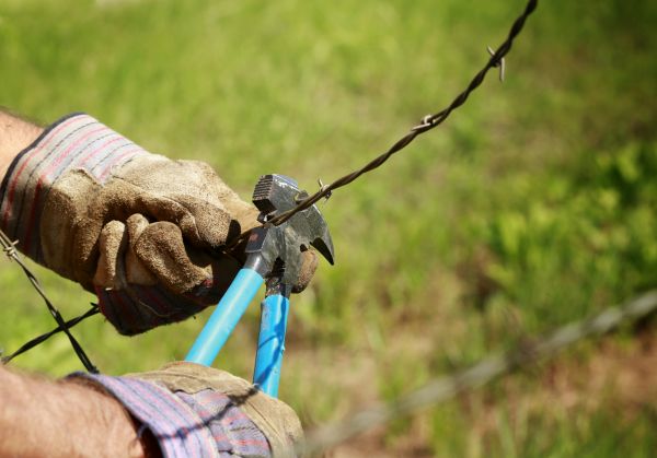 Barbed Wire Fence Repair in Conway
