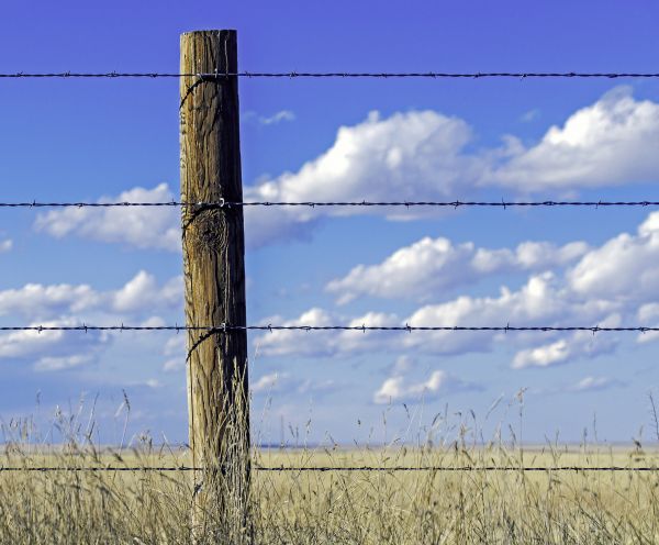 Barbed Wire Installation in Conway