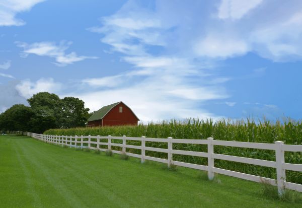 Farm Fence Repair in Conway