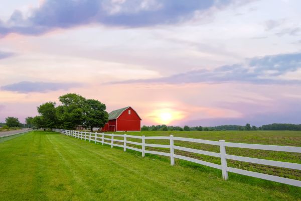 Farm Fencing Installation in Conway