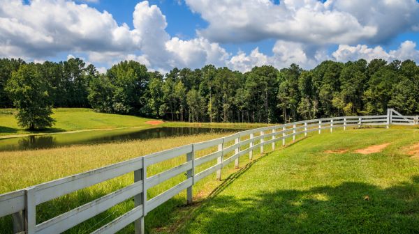 Pasture Fence Installation in Conway