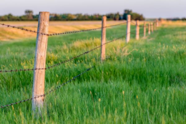 Field Fence Installation in Conway