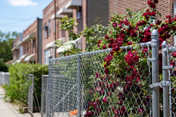 Chain Link Fence Replacement in Conway