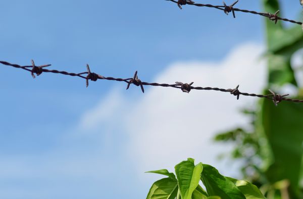 Garden Fencing Service in Conway