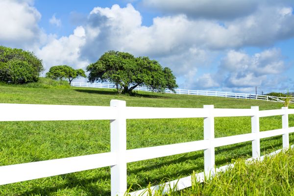 Fence Rail Replacement in Conway