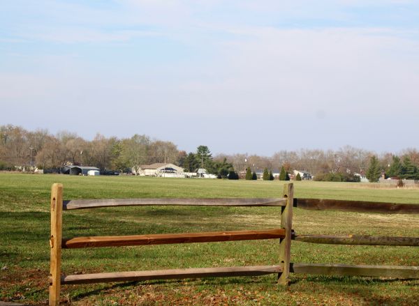 Cattle Fence Repair in Conway