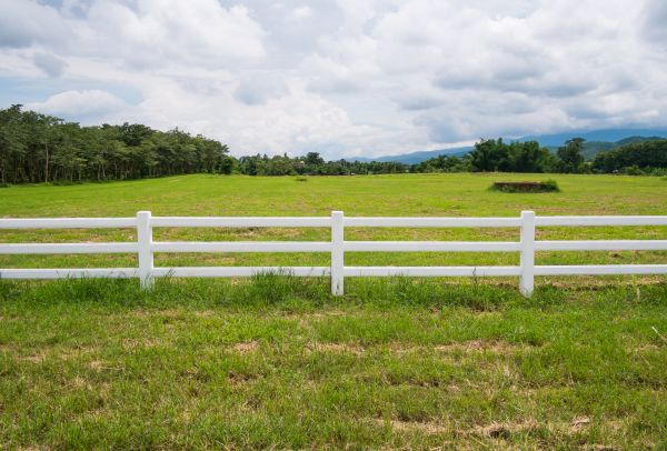 Field Fence Repair in Conway