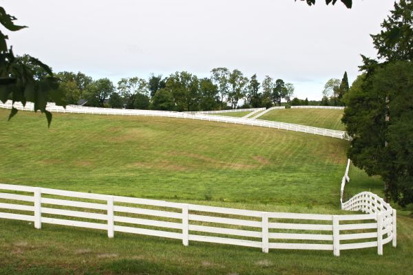Livestock Fence Repair in Conway