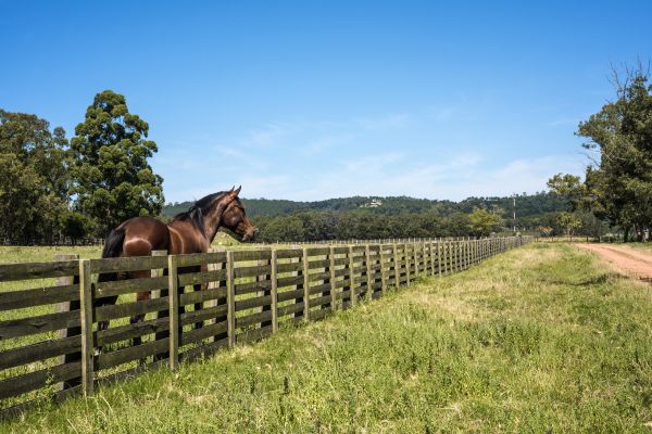 Horse Enclosure Installation in Conway
