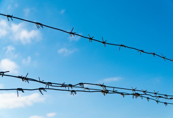 Wire Fencing Service in Conway