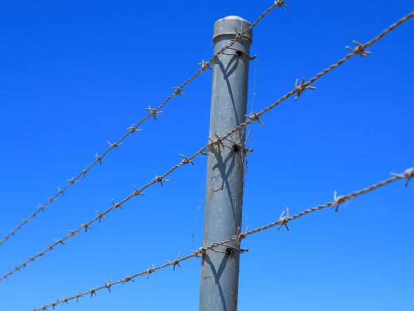 Wire Fence Replacement in Conway