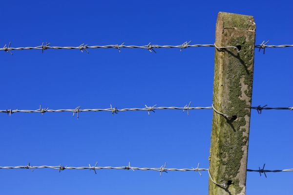 Barbed Wire Fence Replacement in Conway