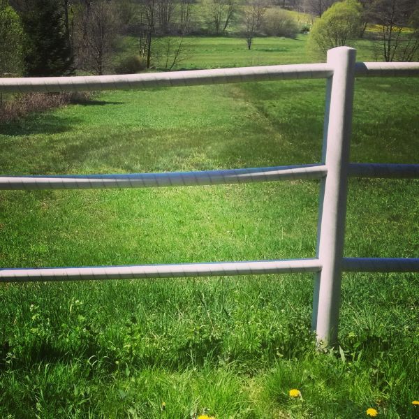Cattle Fence Replacement in Conway