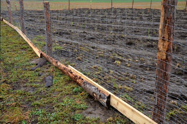 Deer Fencing Repair in Conway